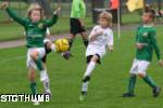 Hantverkscupen 2010  37.jpg

85,75 KB 
1000 x 666 
2010-08-15